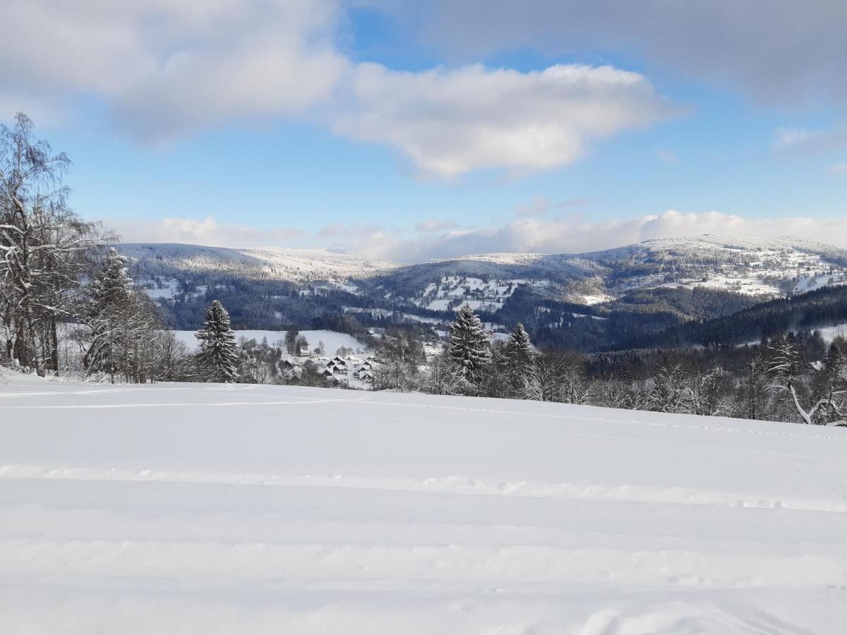 Apartmany Roudnice Jestrabi V Krkonosich エクステリア 写真